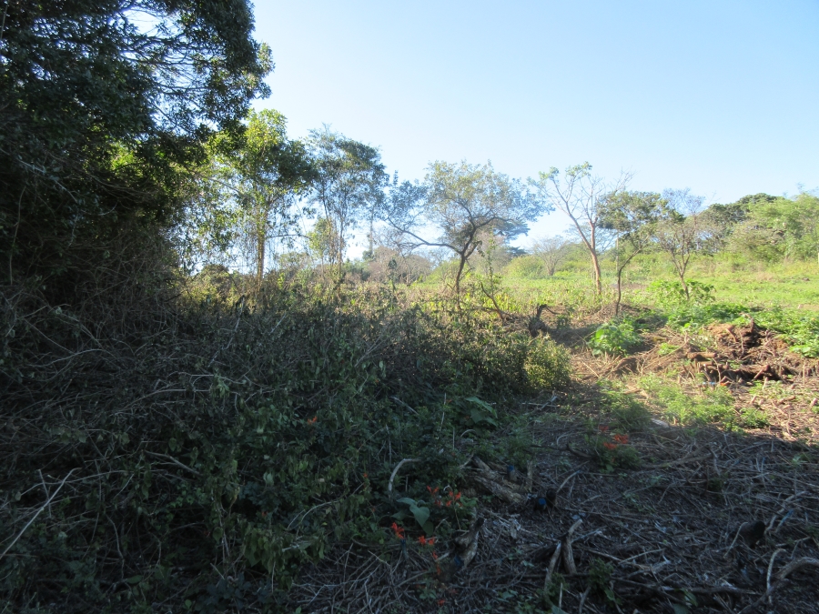 0 Bedroom Property for Sale in Bathurst Eastern Cape